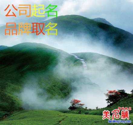 工商總局:企業(yè)名稱(chēng)數(shù)據(jù)庫(kù)將開(kāi)放 公司取名不再難