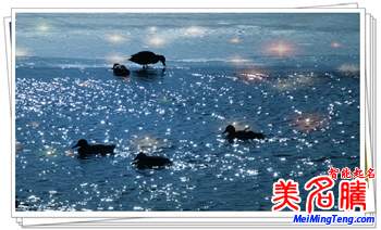 立春、二十四節(jié)氣的第一個(gè) 生肖屬相的起點(diǎn)