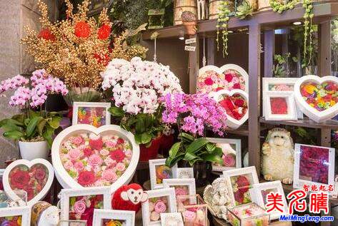 最新的花店起名,好聽(tīng)的花店名字