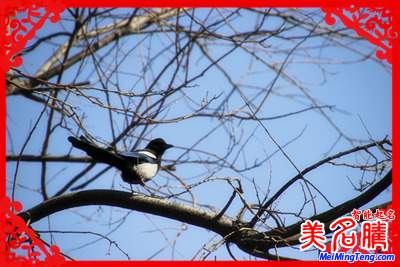 2017立春:百年一遇 2月3日立春罕見